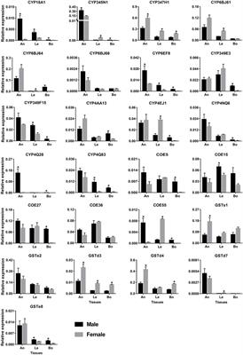 Identification and characterization of candidate detoxification genes in Pharsalia antennata Gahan (Coleoptera: Cerambycidae)